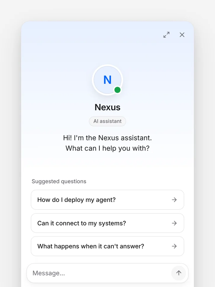 Nexus chat widget